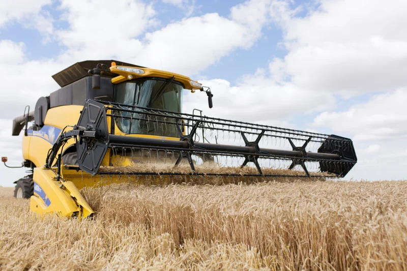 Yellow combine harvester cutting wheat in a field under a cloudy sky