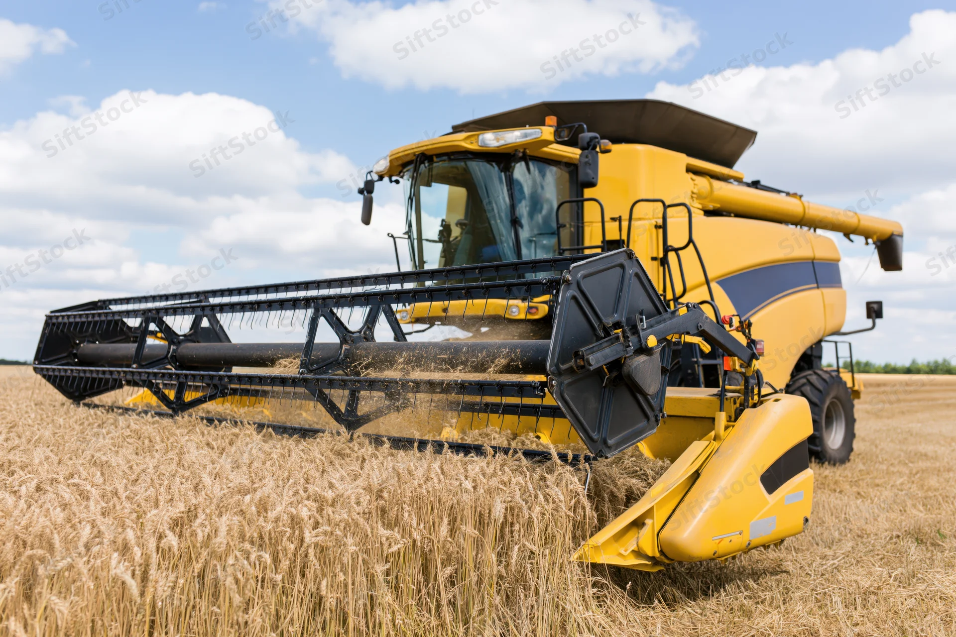 Yellow combine harvester cutting wheat in a field