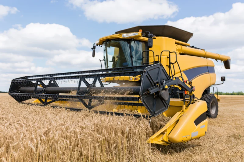 Yellow combine harvester cutting wheat in a field