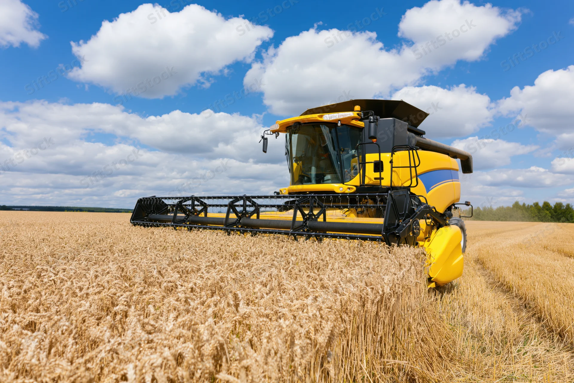 Yellow combine harvester cutting wheat in a field under a blue sky with clouds