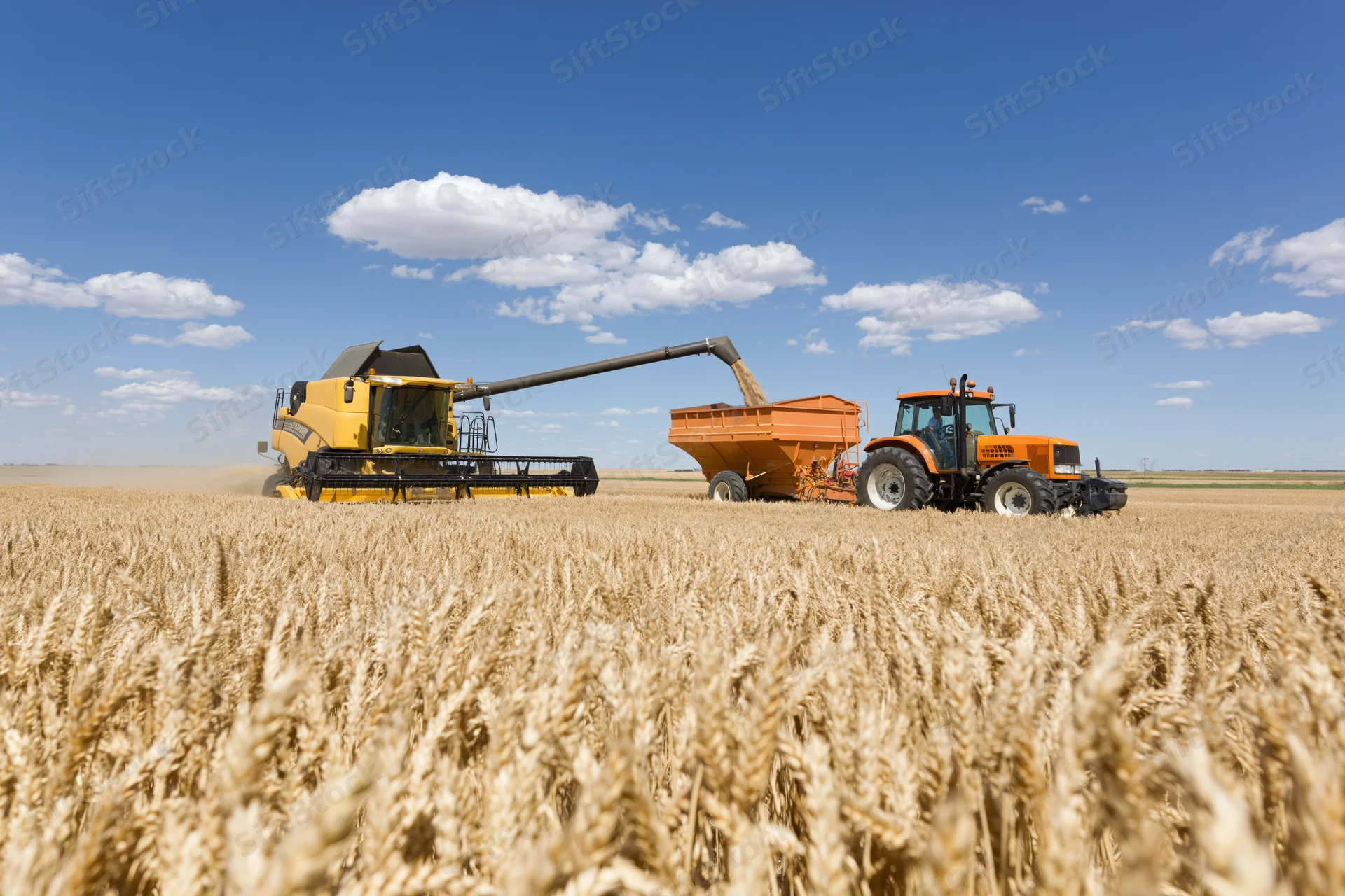 Yellow combine harvester unloading grain into orange tractor trailer in wheat field under blue sky