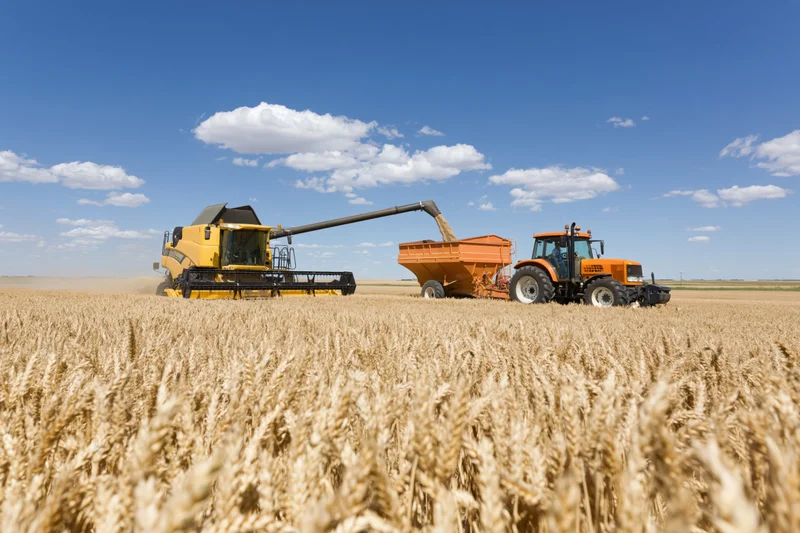 Yellow combine harvester unloading grain into orange tractor trailer in wheat field under blue sky