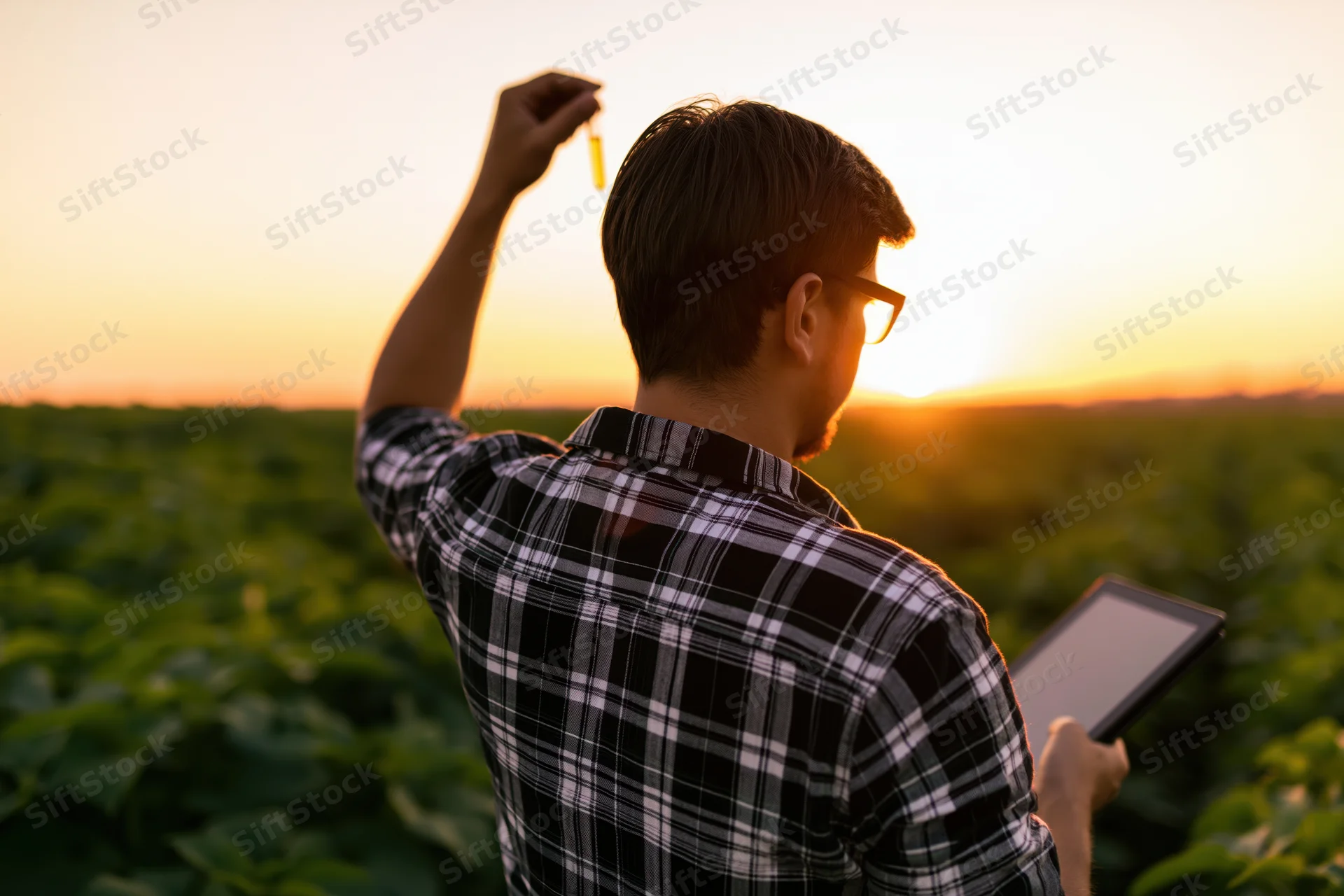 Young male researcher holding test tube and tablet in a crop field at sunset