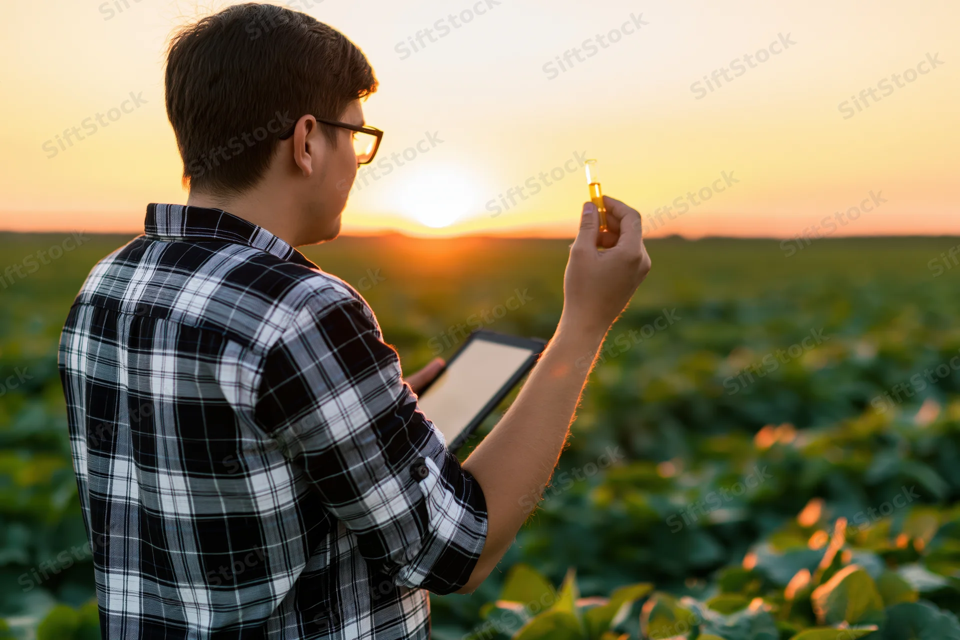 Young male researcher holding test tube and tablet in a crop field at sunset