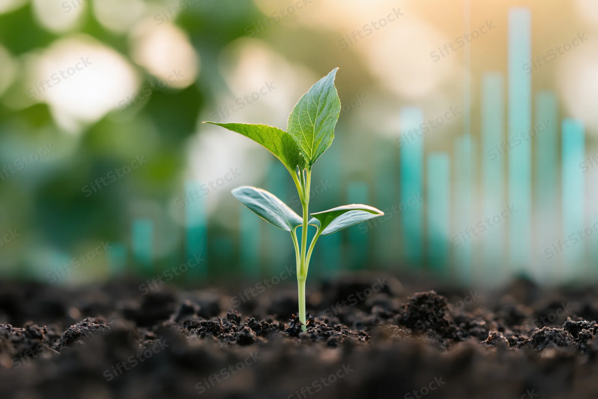 Young green seedling sprouting from dark moist soil with blurred bar graph in background