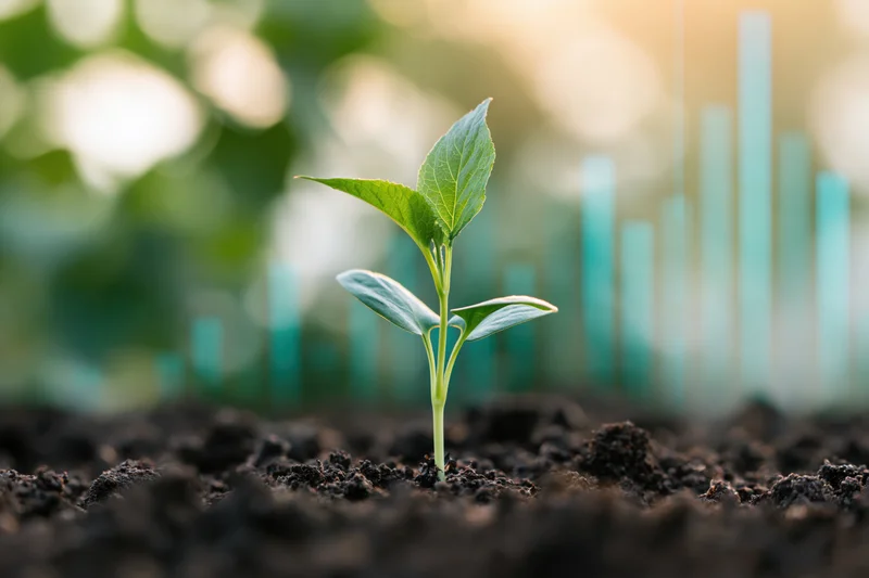 Young green seedling sprouting from dark moist soil with blurred bar graph in background