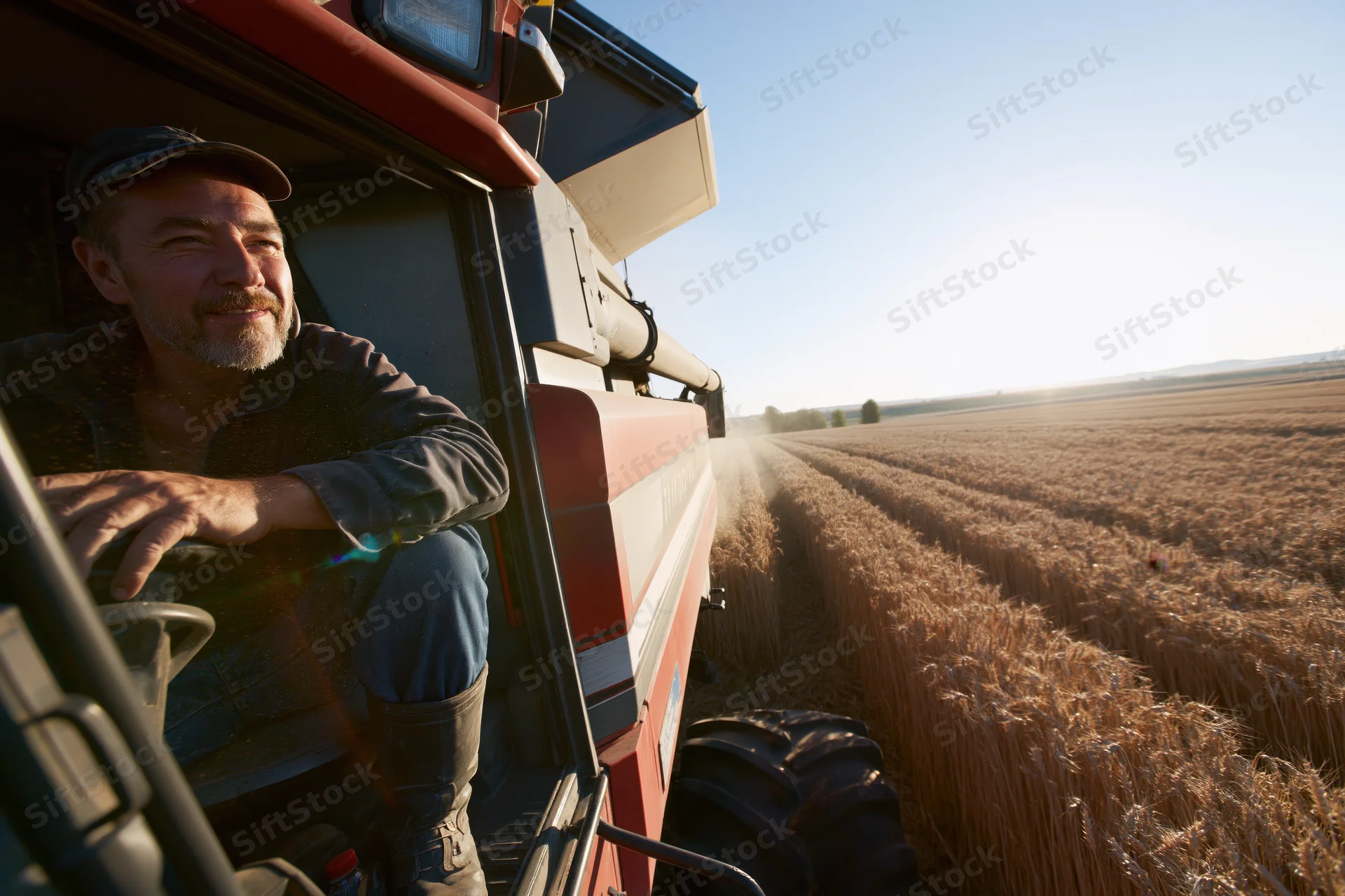 Farmer smiling from combine harvester cab during wheat harvest in golden field
