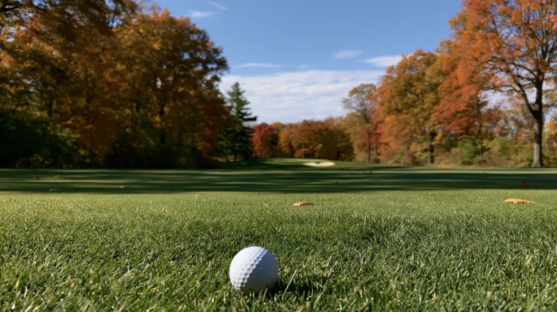 Golf ball resting on a manicured fairway leading toward a distant sandtrap under autumn trees