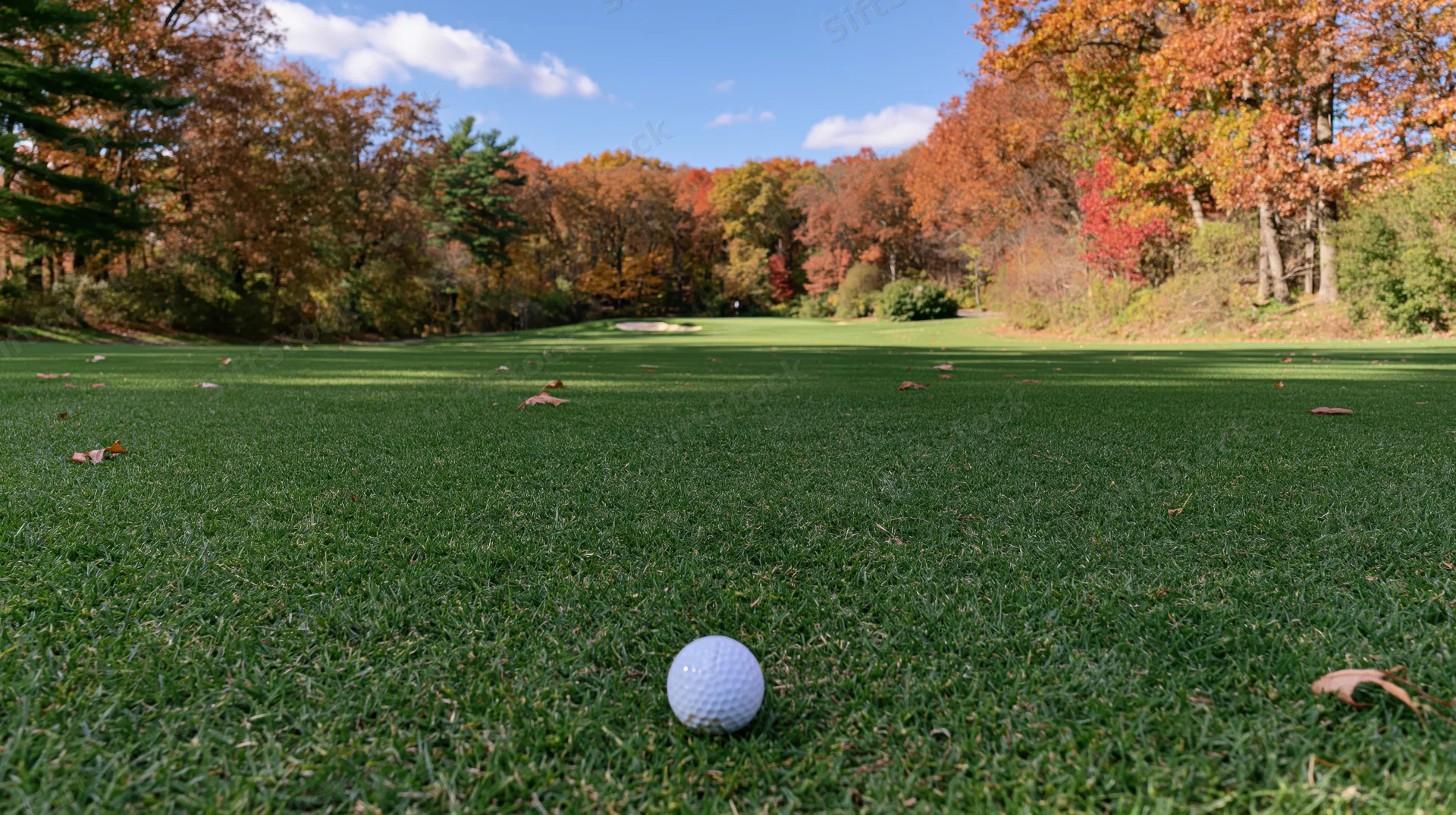 Golf ball resting on a manicured fairway leading toward a distant green surrounded by autumn trees