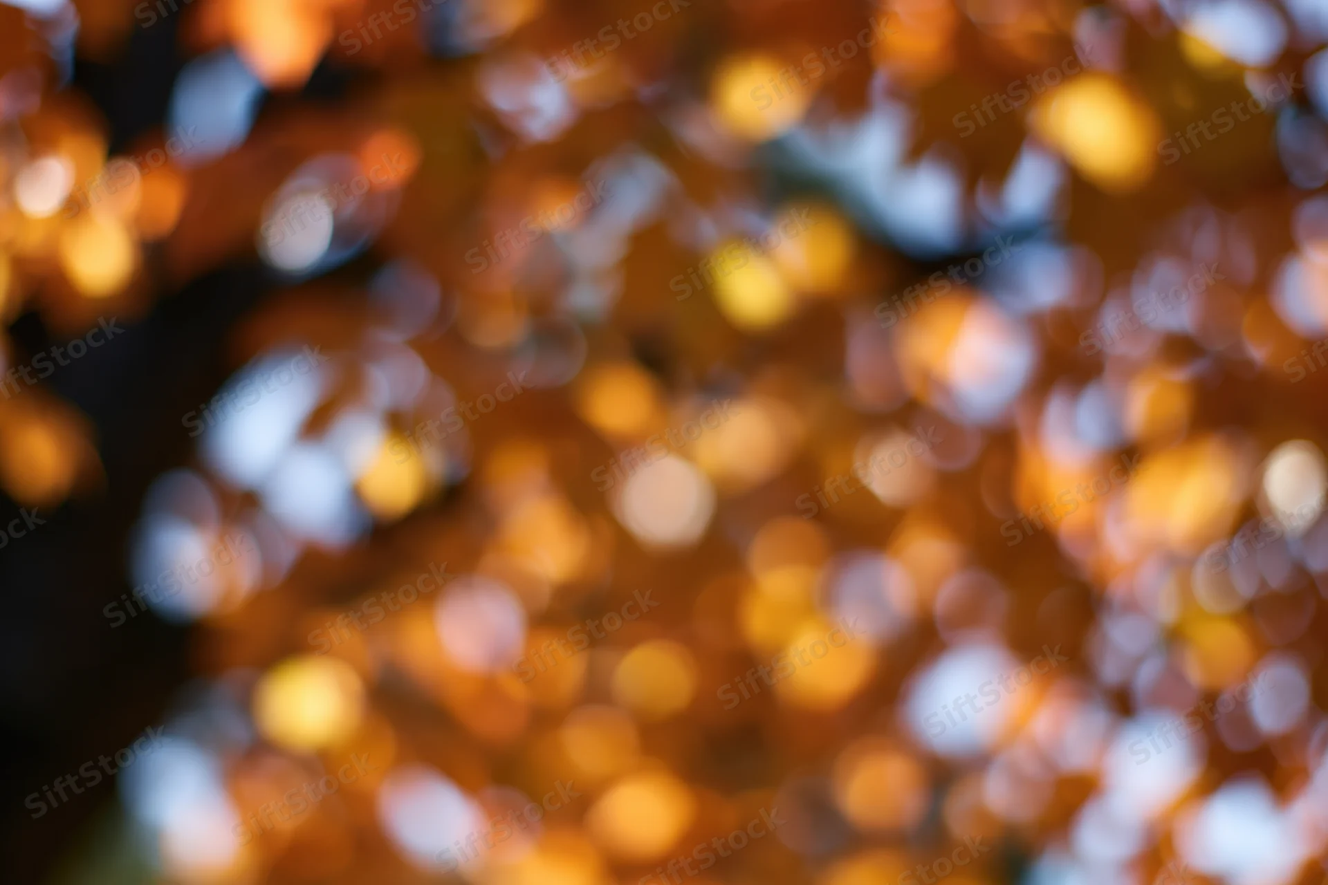 Defocused autumn foliage with warm bokeh lights filling the frame