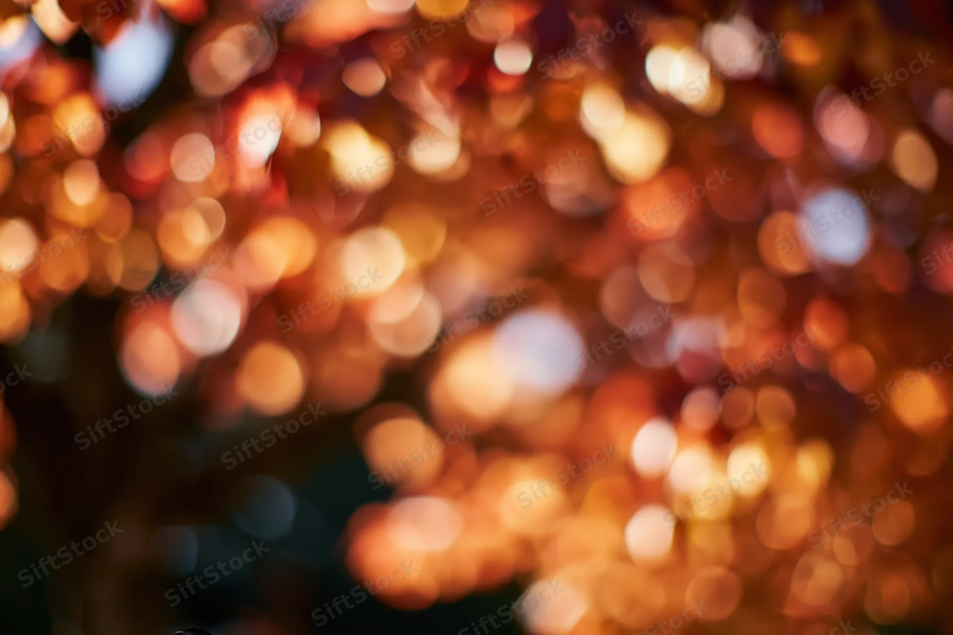Blurred autumn foliage with warm bokeh lights filling the frame