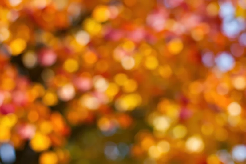 Blurred autumn foliage filling the frame with warm bokeh lights