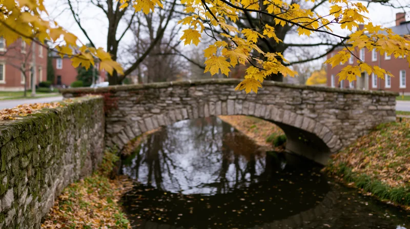 Stone arch bridge spanning a narrow canal in an urban setting with autumn leaves and moss-covered walls