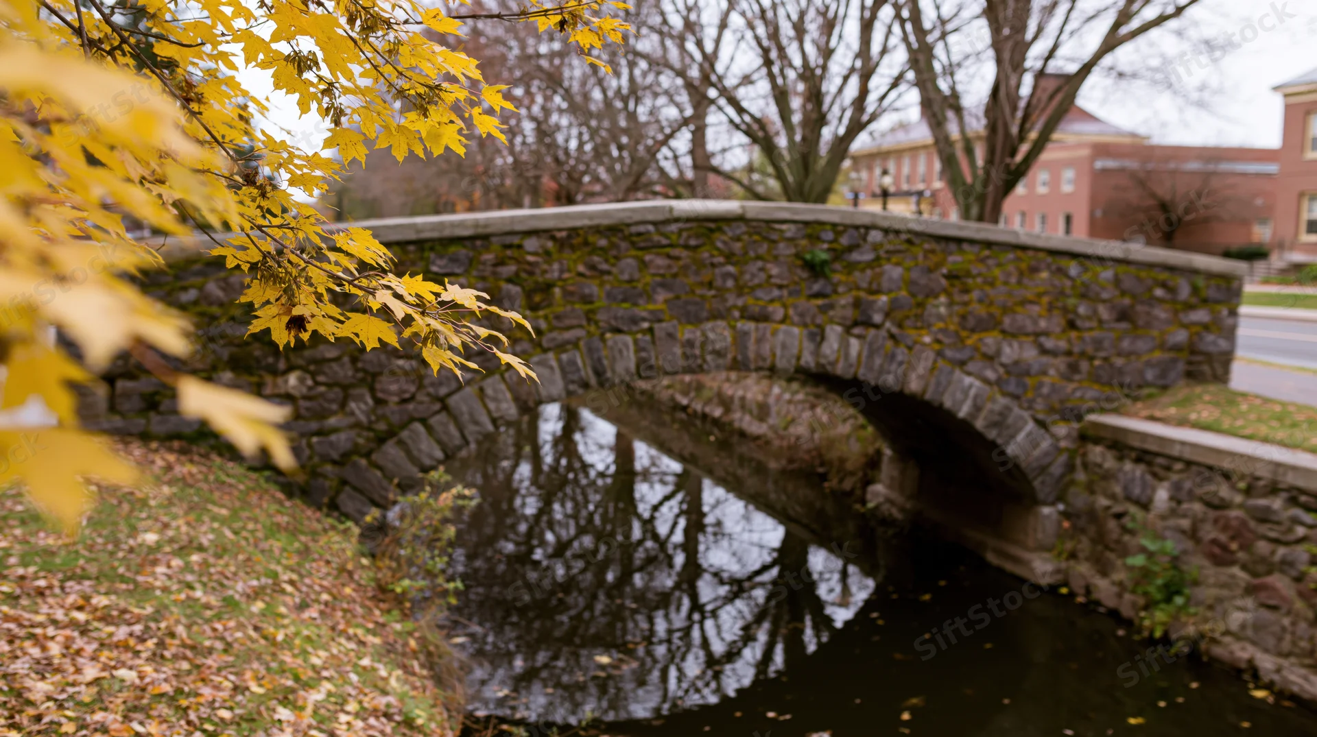 Stone arch bridge over narrow canal in urban campus setting with autumn foliage and water reflection