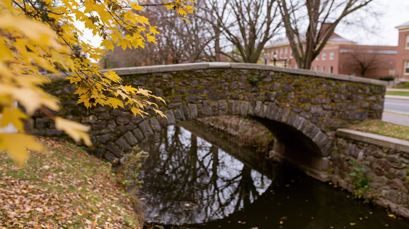 Stone arch bridge over narrow canal in urban campus setting with autumn foliage and water reflection