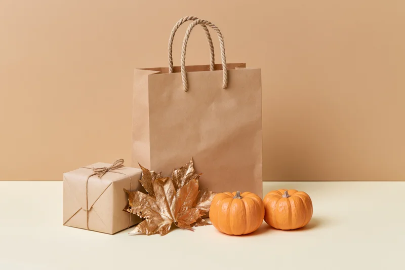 Kraft paper shopping bag with rope handles standing beside a wrapped gift box, small pumpkins and golden maple leaves on a beige surface
