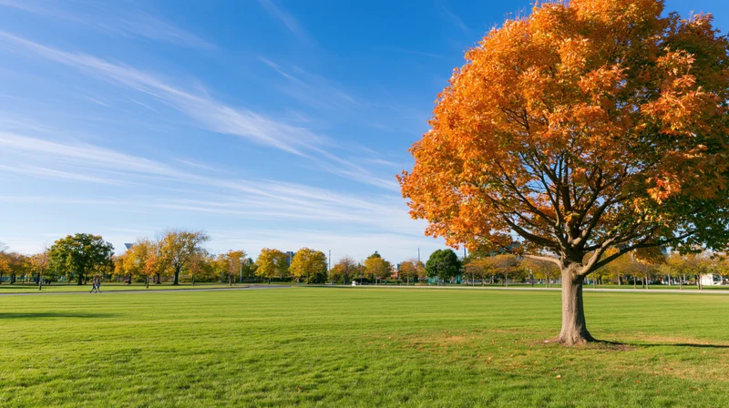 Large maple tree in autumn color dominating the right foreground
