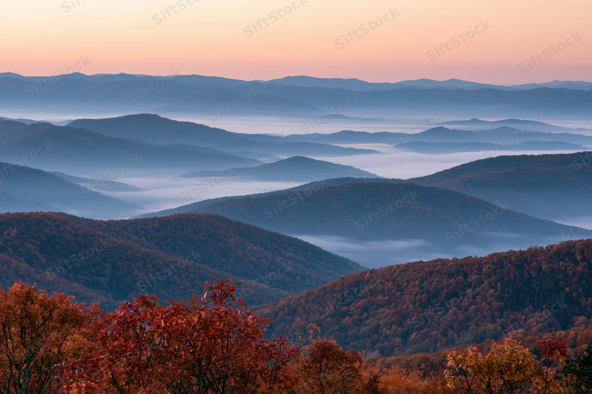 Layered mountain ridges covered in autumn foliage with morning mist in valleys
