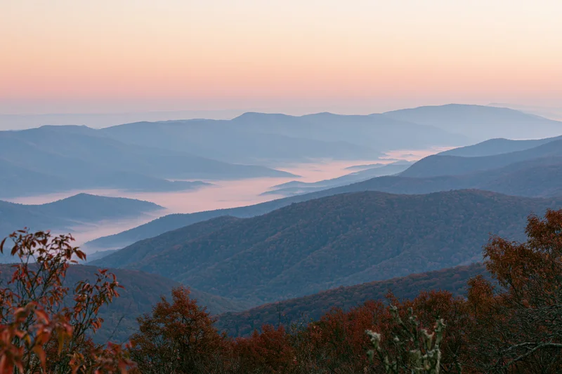 Layered appalachian mountain ridges receding into morning mist with autumn foliage in foreground