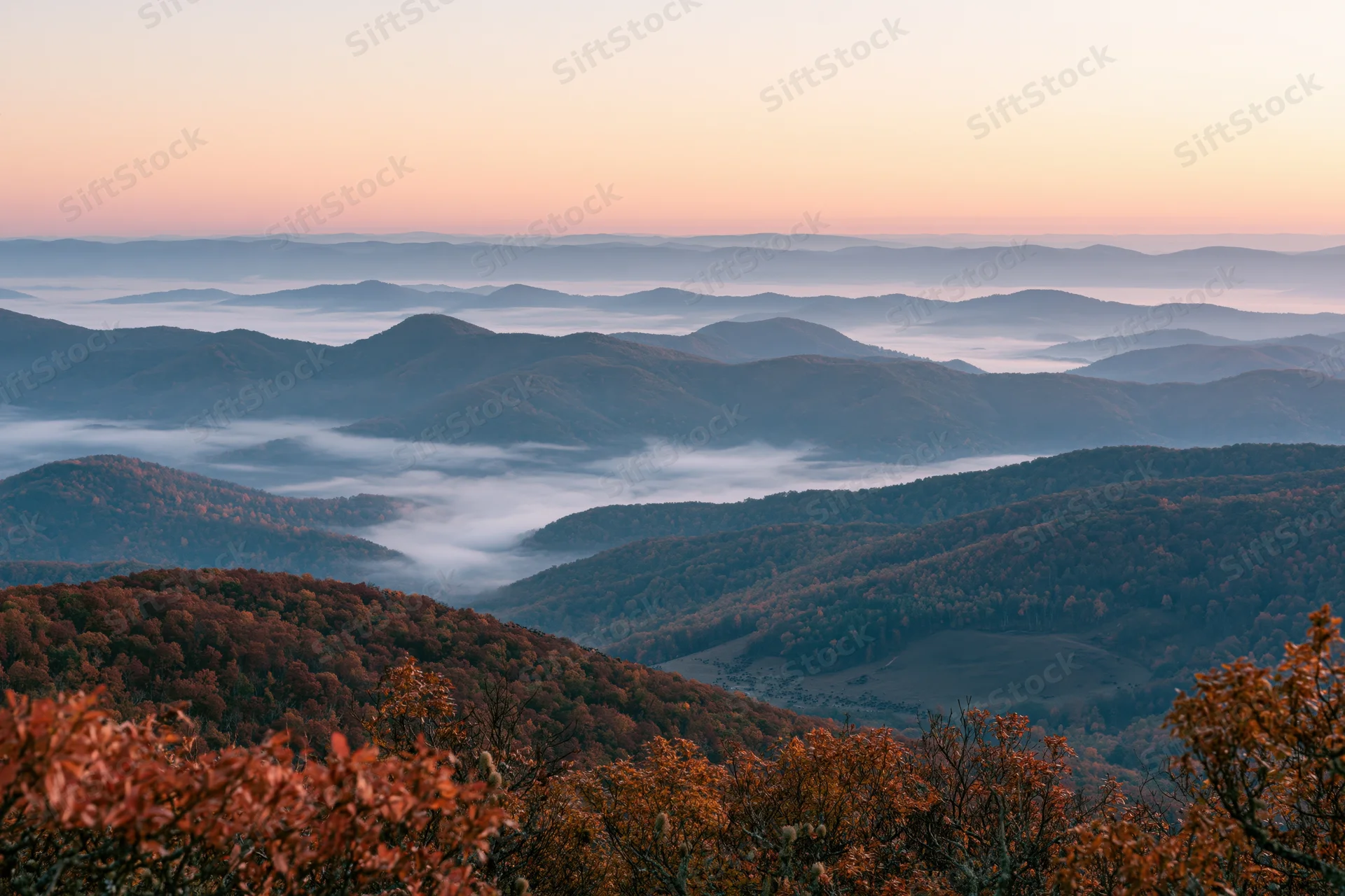Layered Appalachian mountain ridges receding into morning mist with autumn foliage in the foreground