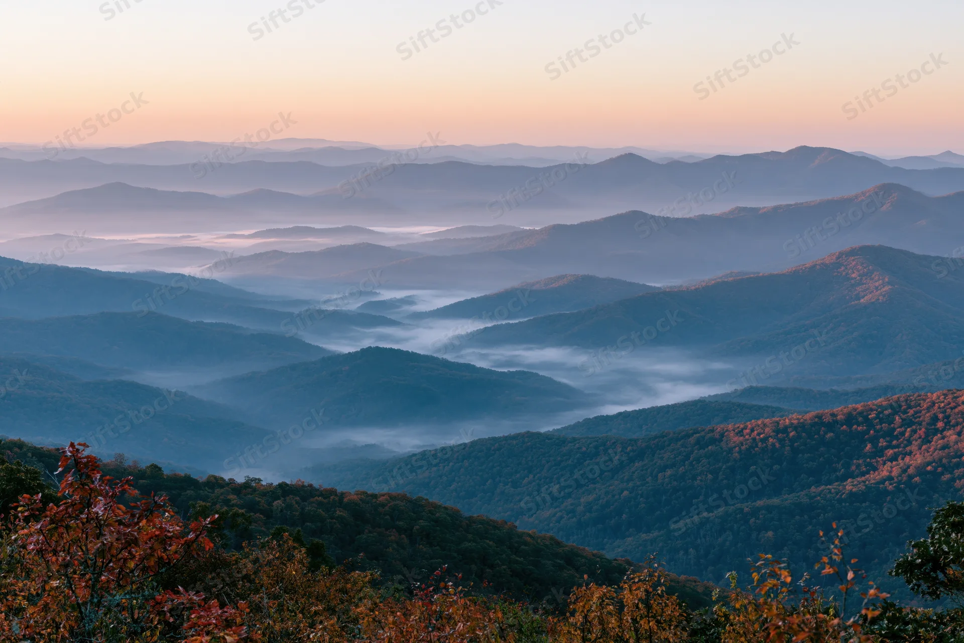 Layered appalachian mountain ridges receding into morning mist with autumn foliage in foreground