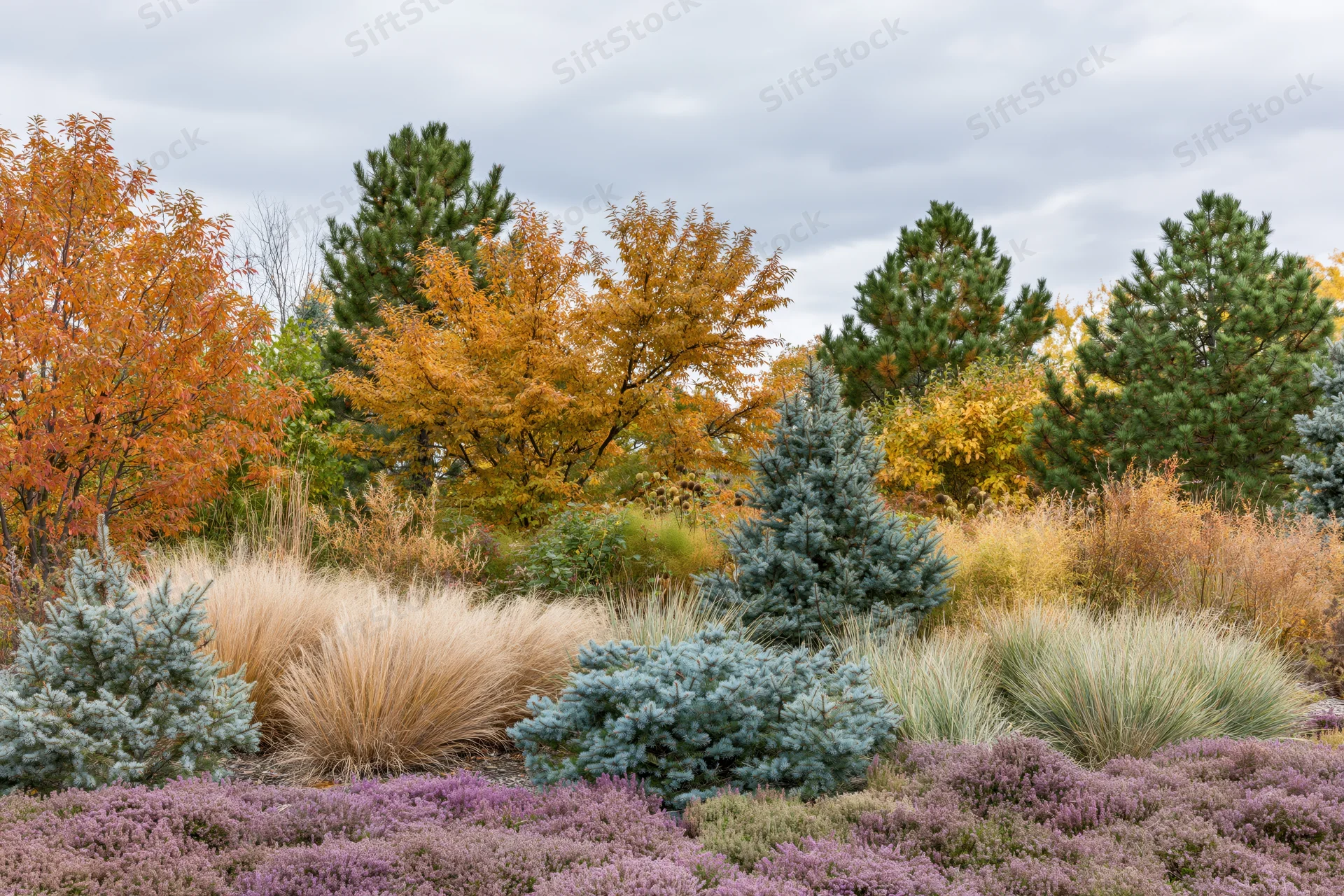 Layered autumn garden border with ornamental grasses, dwarf conifers, and colorful foliage under overcast sky