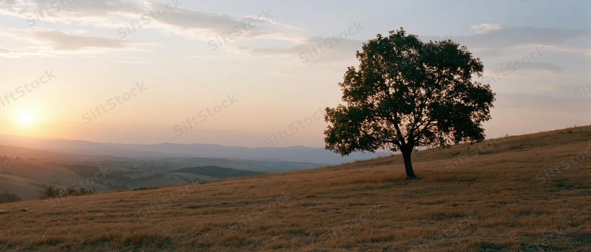 Lone tree on a grassy hill at sunset overlooking rolling hills and distant mountains