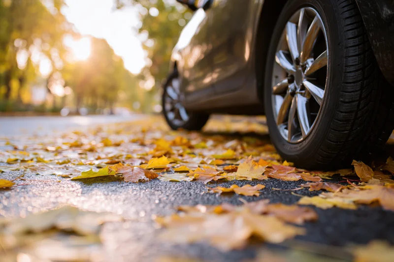 Low-angle view of a car's front wheel on a pavement covered with autumn leaves in a park at golden hour