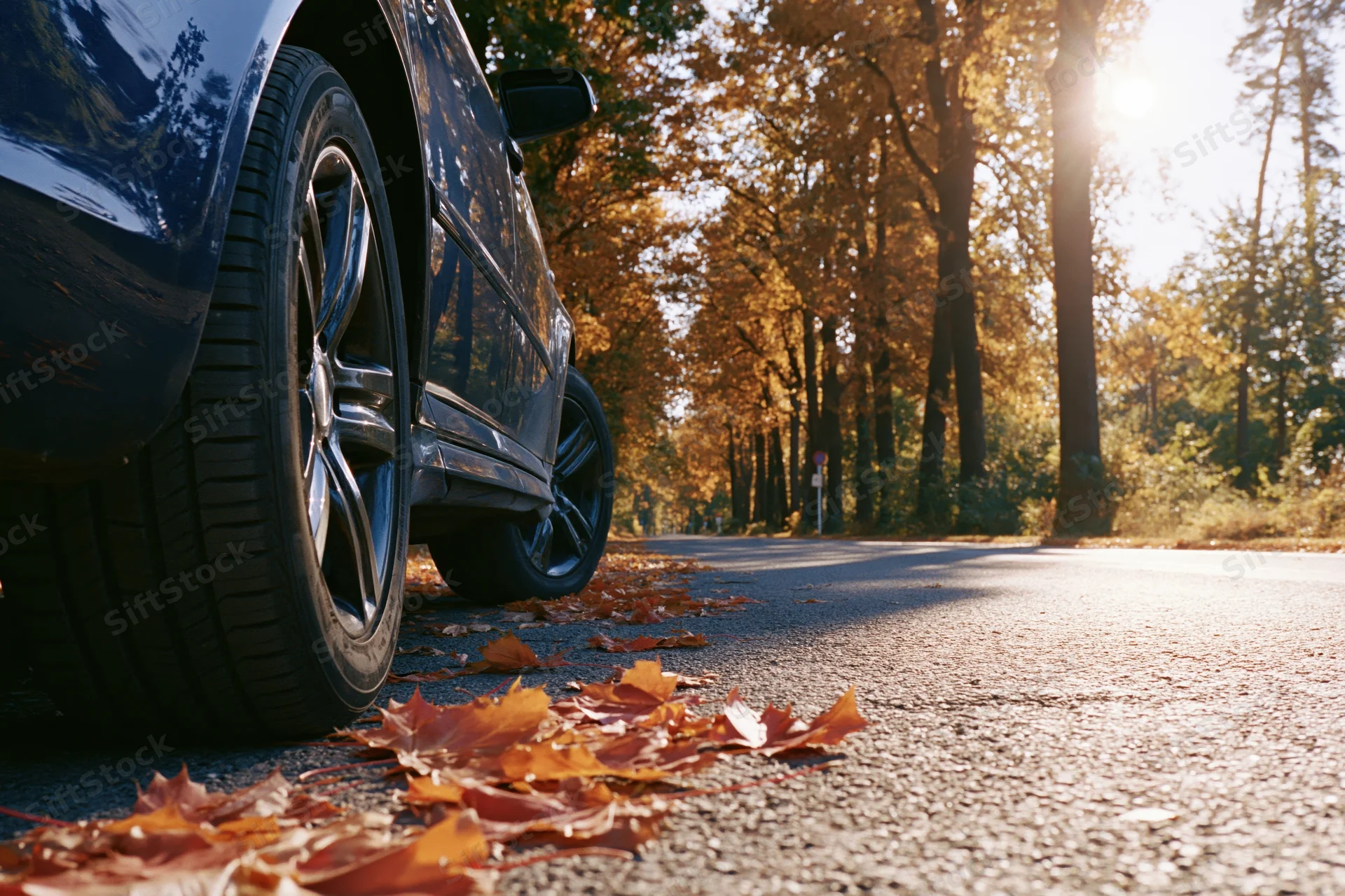 Dark blue car parked on asphalt road lined with autumn trees, low angle view