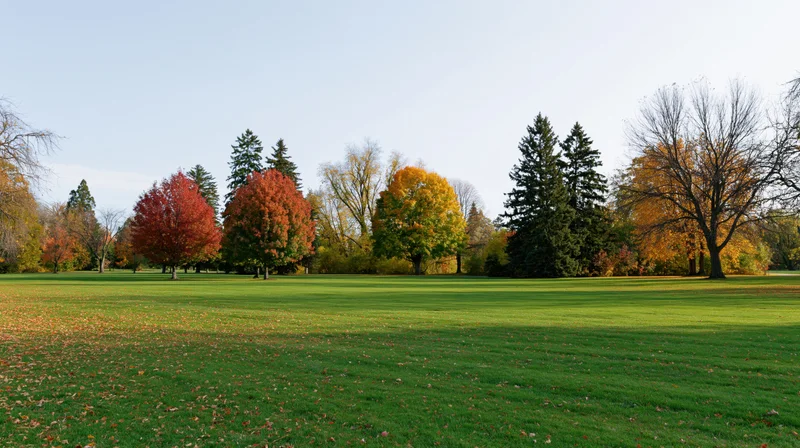 Wide landscape of a manicured park with colorful autumn trees and green lawn under clear sky