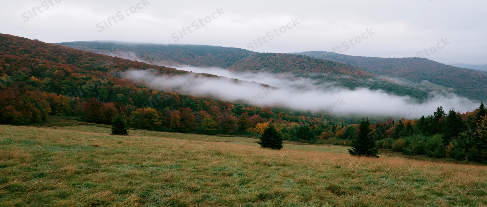 Misty autumn valley with fog drifting through forested hills and grassy meadow