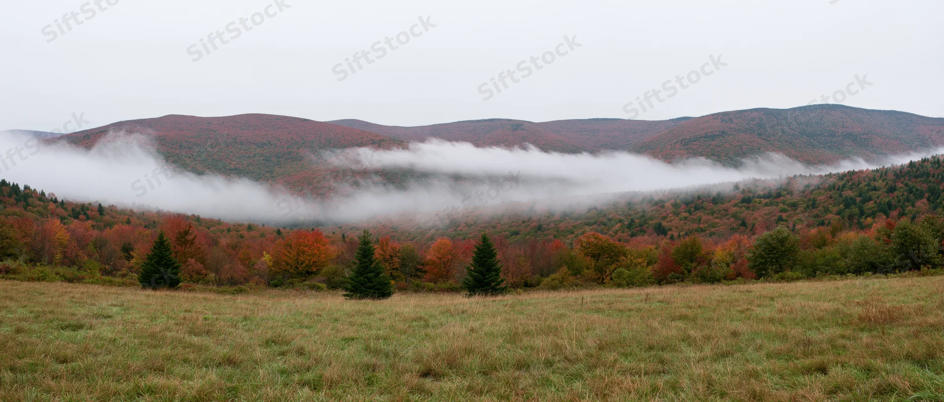 Fog drifting through autumn forested mountains above a grassy meadow