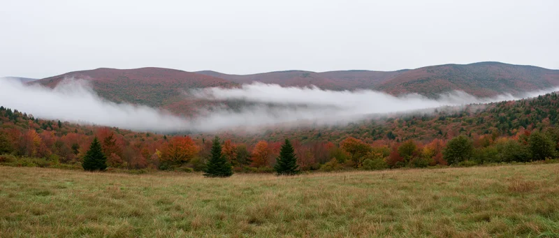 Fog drifting through autumn forested mountains above a grassy meadow