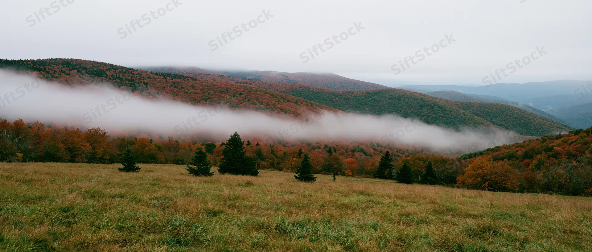 Misty autumn valley with fog drifting through forested hills and grassy meadow