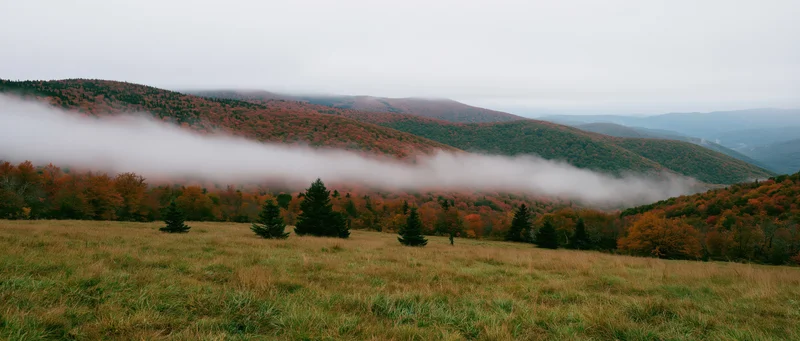Misty autumn valley with fog drifting through forested hills and grassy meadow