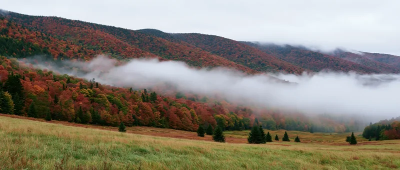Fog drifting through autumn forested mountains above a grassy valley