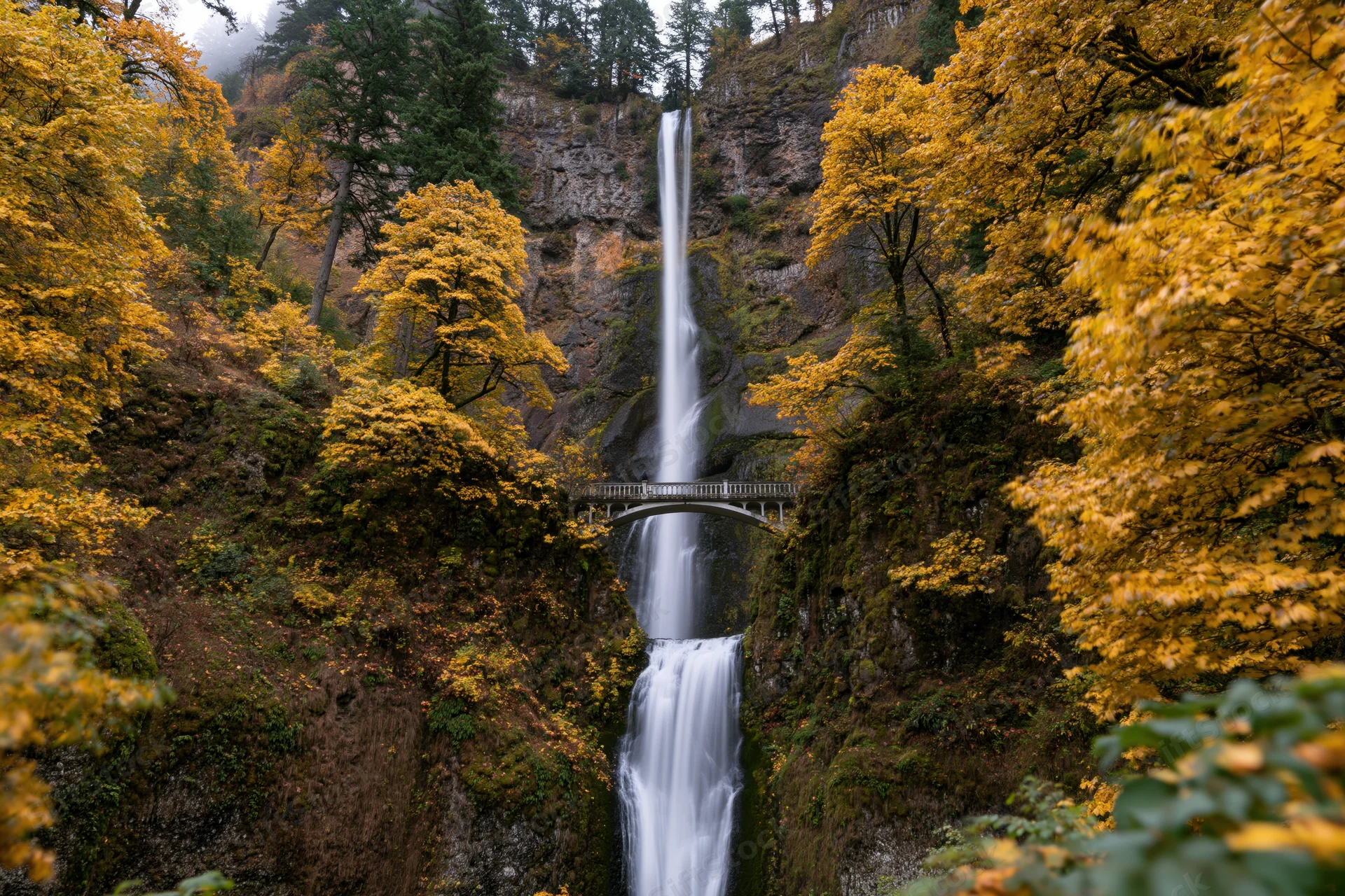 Multnomah falls cascading in two tiers down mossy basalt cliffs surrounded by autumn foliage