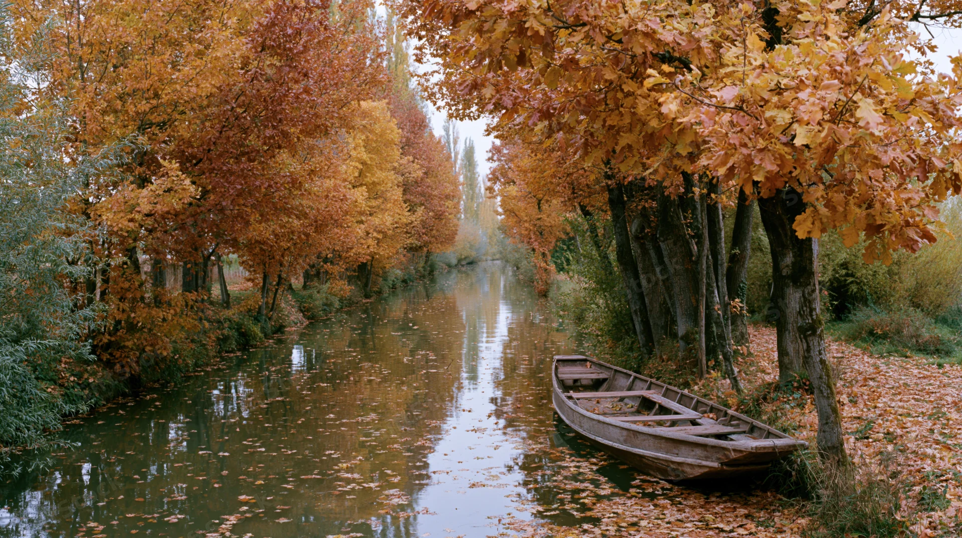 Narrow canal lined with dense autumn trees in full fall color, a wooden rowboat resting on the bank, water reflecting the colorful foliage