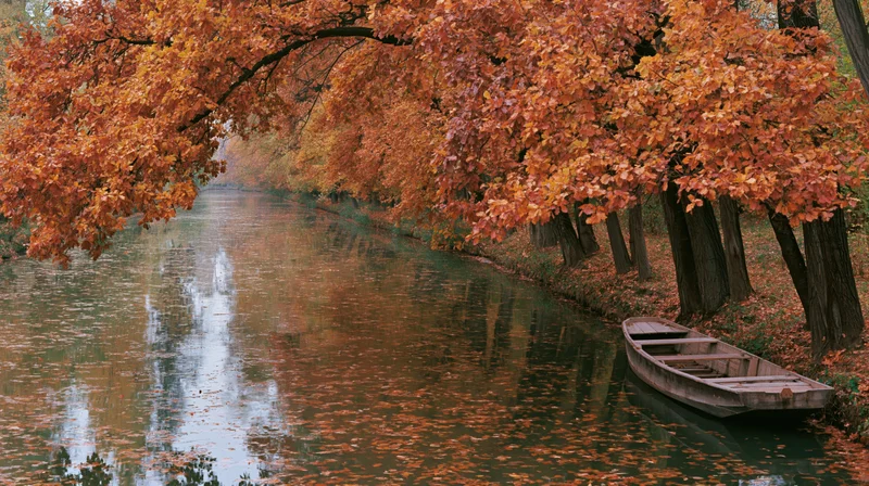 Narrow canal lined with dense autumn trees in full fall color, a wooden rowboat resting on the calm water under overhanging branches