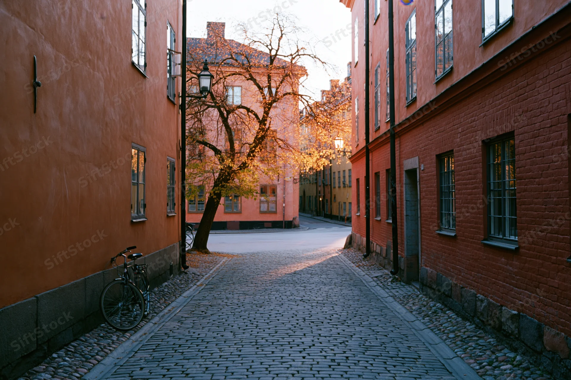 Narrow cobblestone street in old town stockholm lined with brick buildings and autumn trees