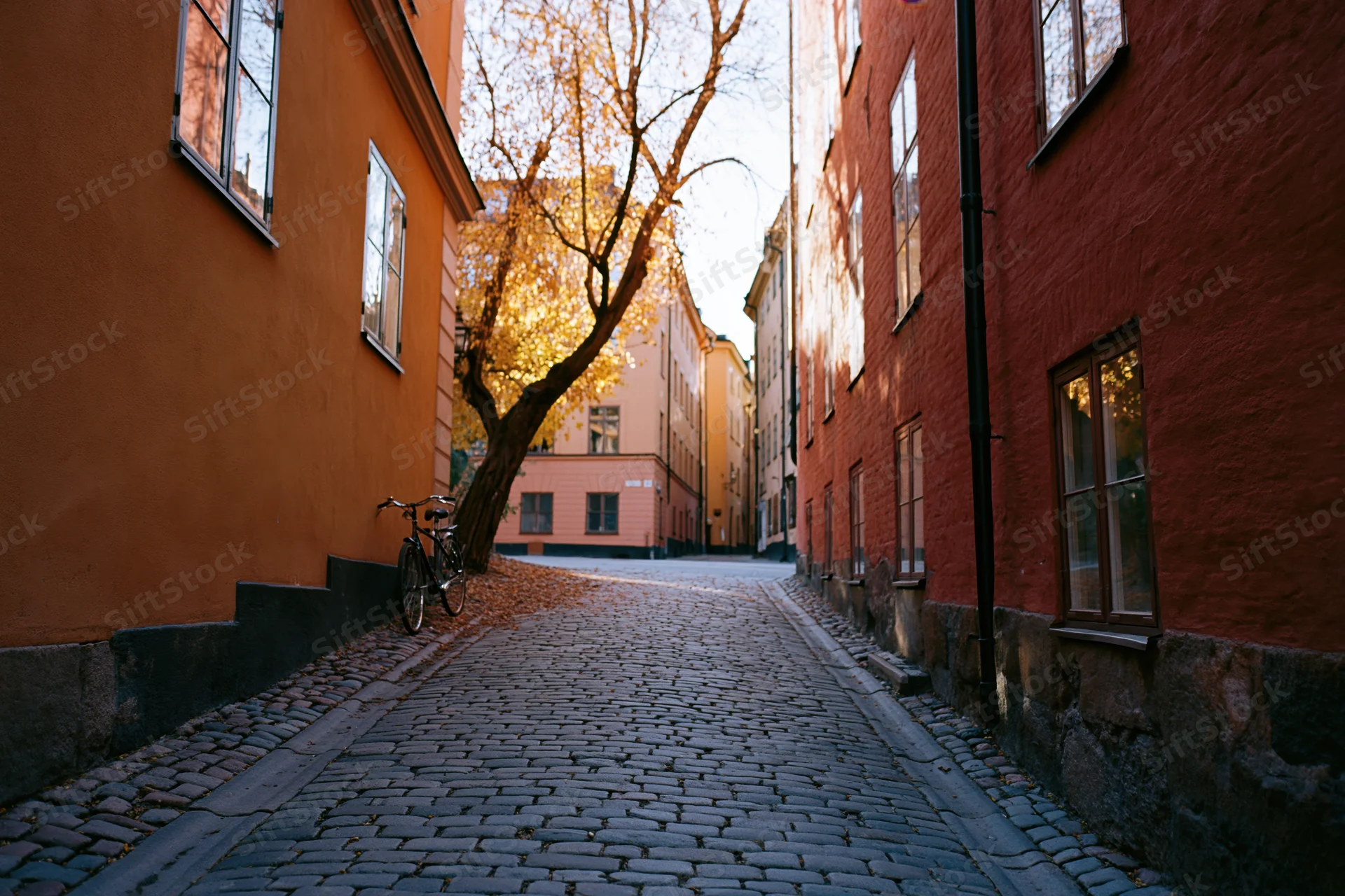 Narrow cobblestone street in old town stockholm lined with colorful buildings and a tree in autumn light