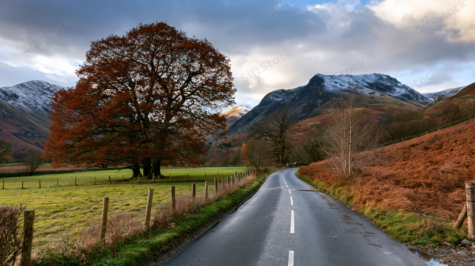 Narrow asphalt road curving through autumn valley with snow-capped mountains and orange-leafed tree beside green field