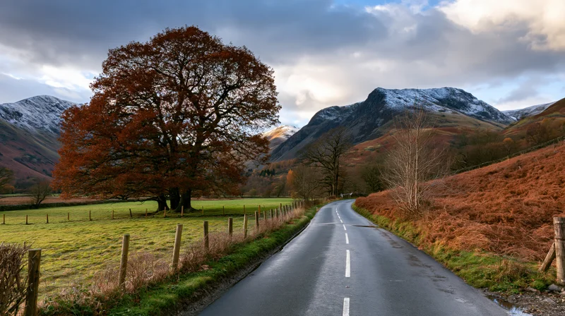 Narrow asphalt road curving through autumn valley with snow-capped mountains and orange-leafed tree beside green field