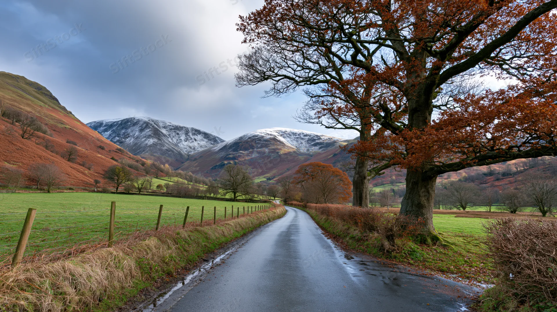 Narrow wet road curving through autumn valley with snow-capped mountains and leafless trees