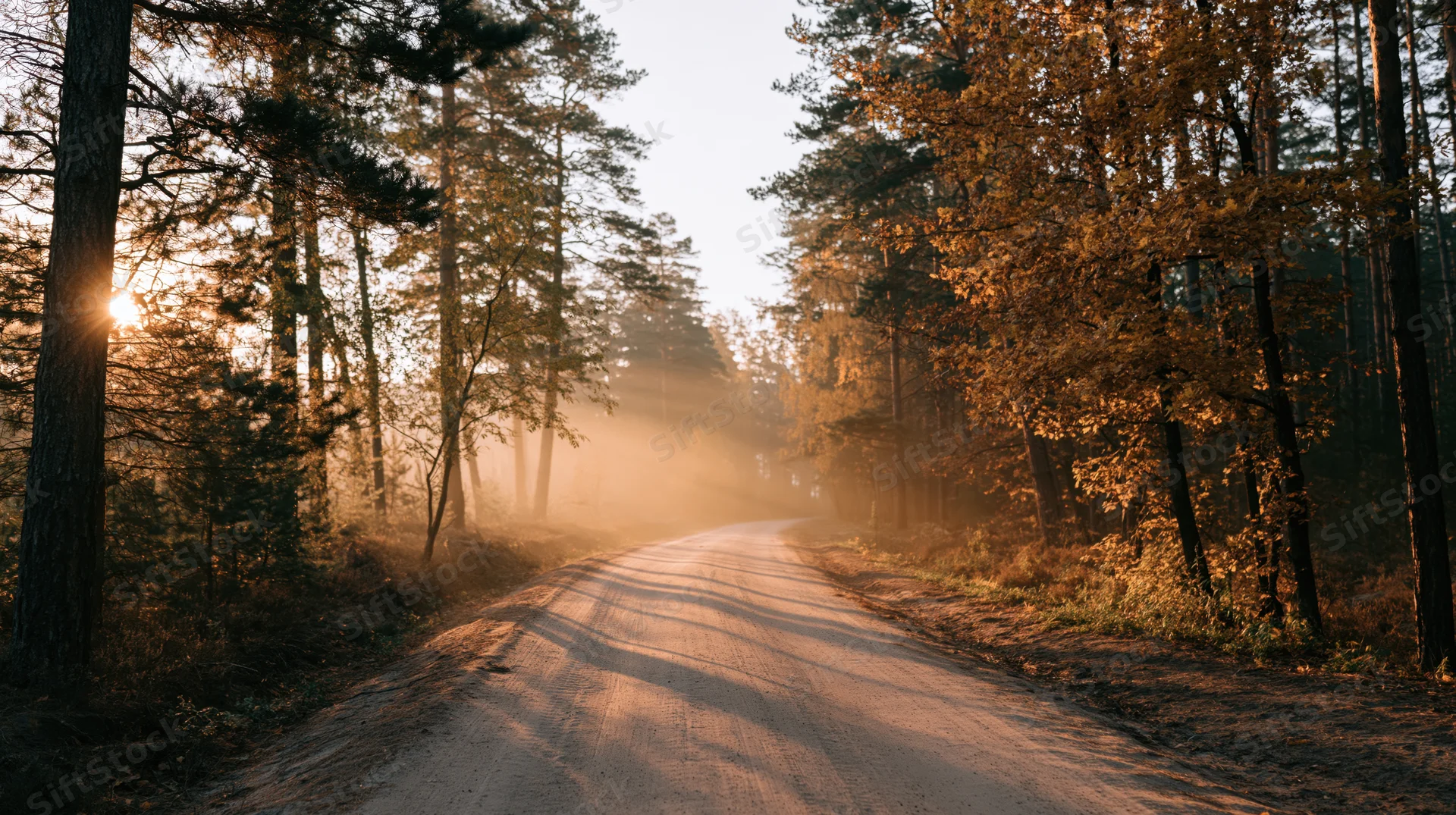 Narrow dirt road winding through autumn forest at sunrise with sunlight filtering through trees and mist