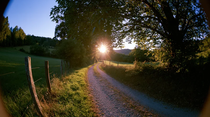 Narrow gravel path curving through green fields toward low sun at sunset