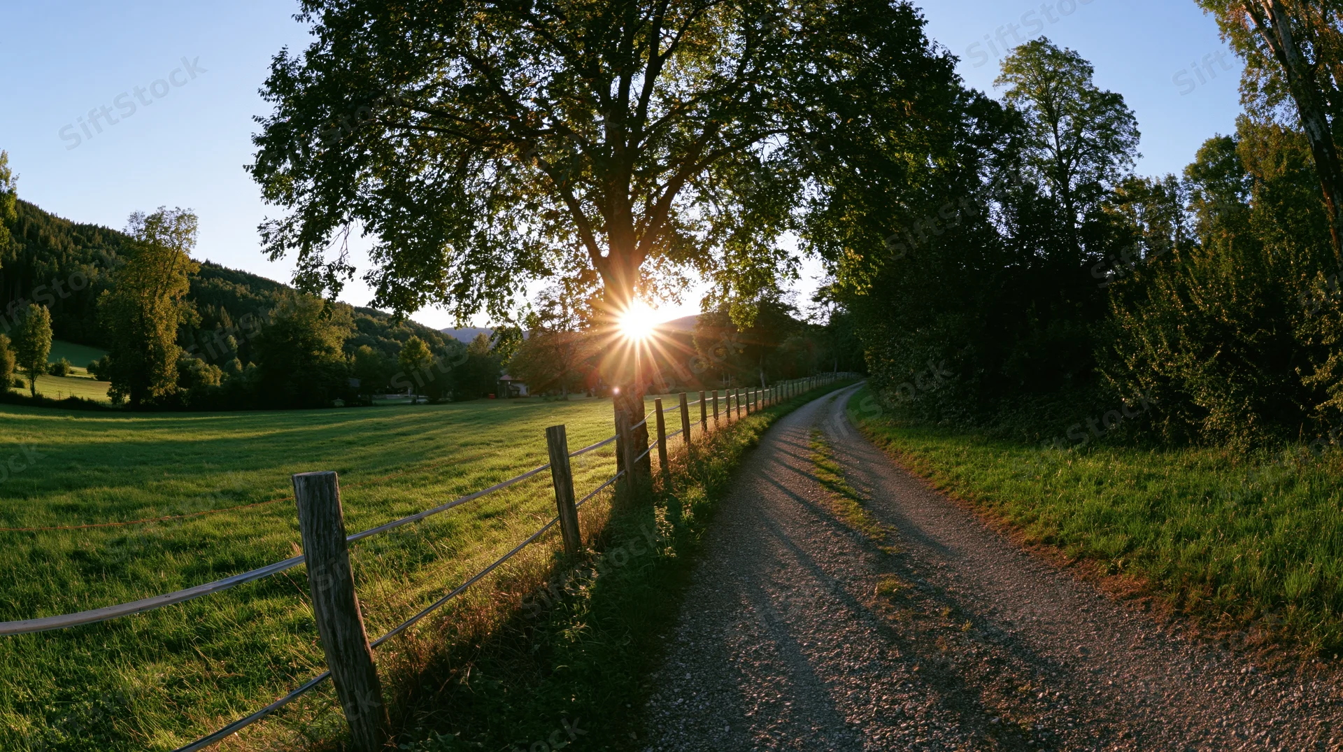 Narrow gravel path curving through a green field beside a wooden fence with sunburst behind a tree