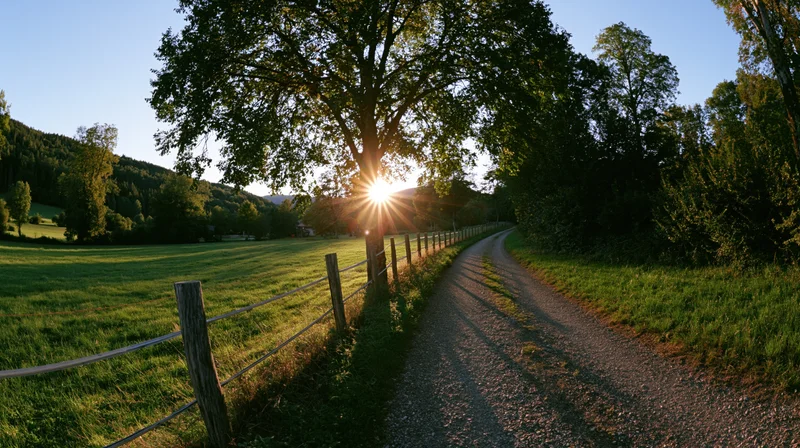 Narrow gravel path curving through a green field beside a wooden fence with sunburst behind a tree