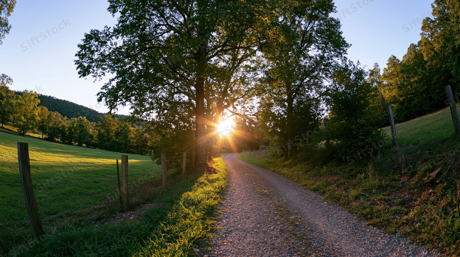 Narrow gravel path winding through green fields at sunset with trees and wooden fence along the sides