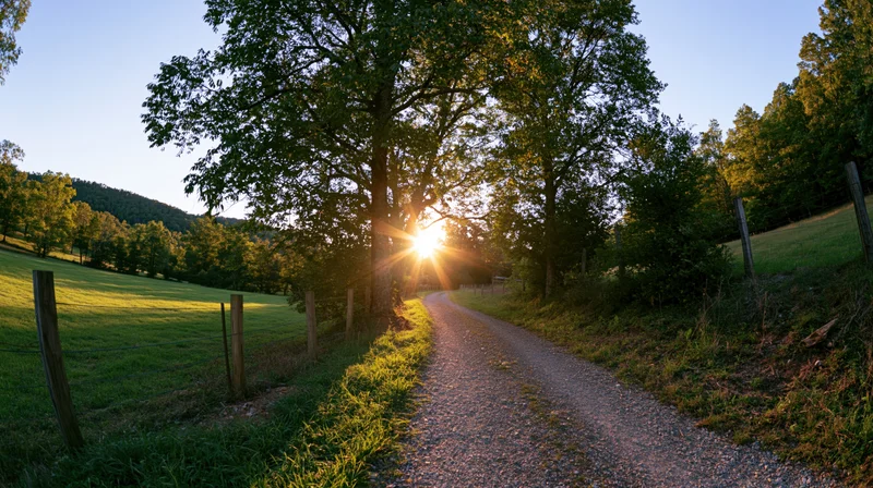 Narrow gravel path winding through green fields at sunset with trees and wooden fence along the sides